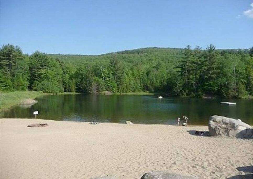 Community fishing/swimming pond