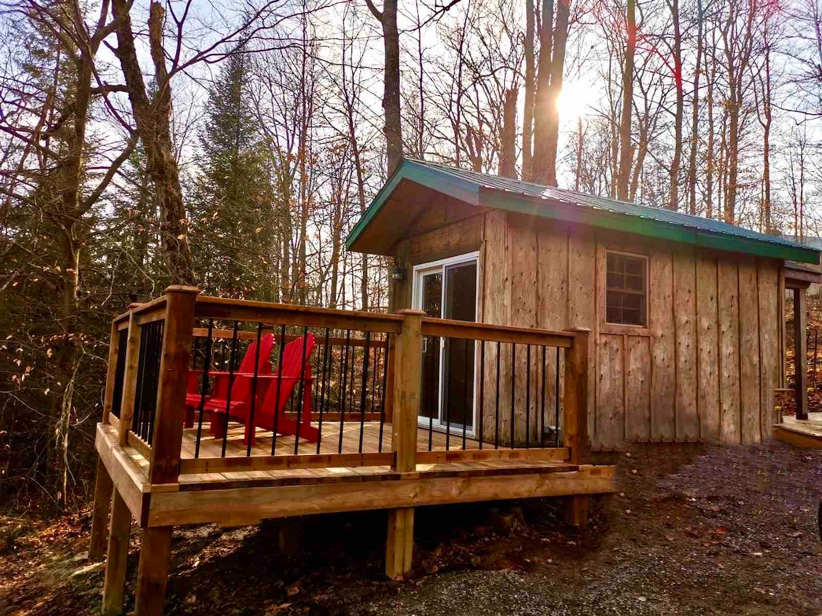 A wooden cabin is situated amid tall trees, featuring a wraparound deck with two red chairs. Sunlight filters through the trees, casting natural light over the cabin's rustic exterior, which is complemented by a sloped metal roof.