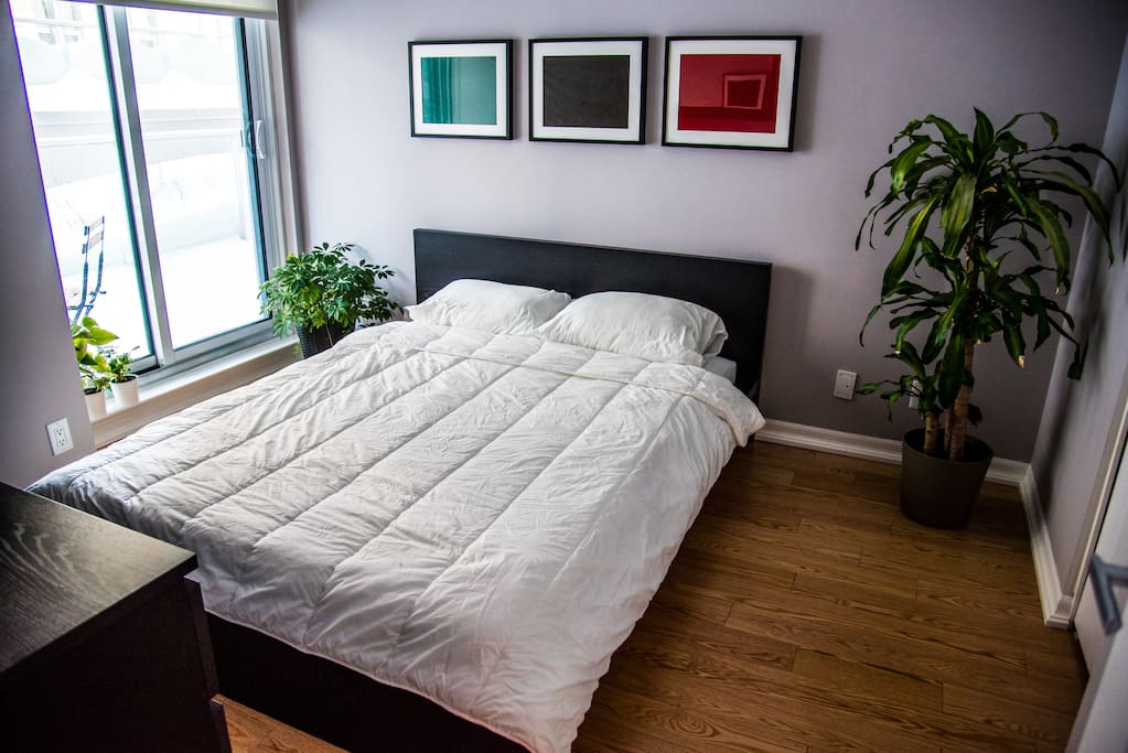 Queen sized bed with large walk-in closet and direct access to private rooftop terrace.