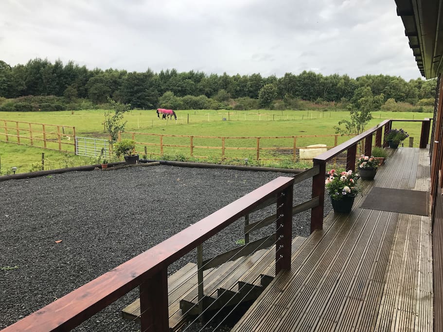 View from veranda toward woodland