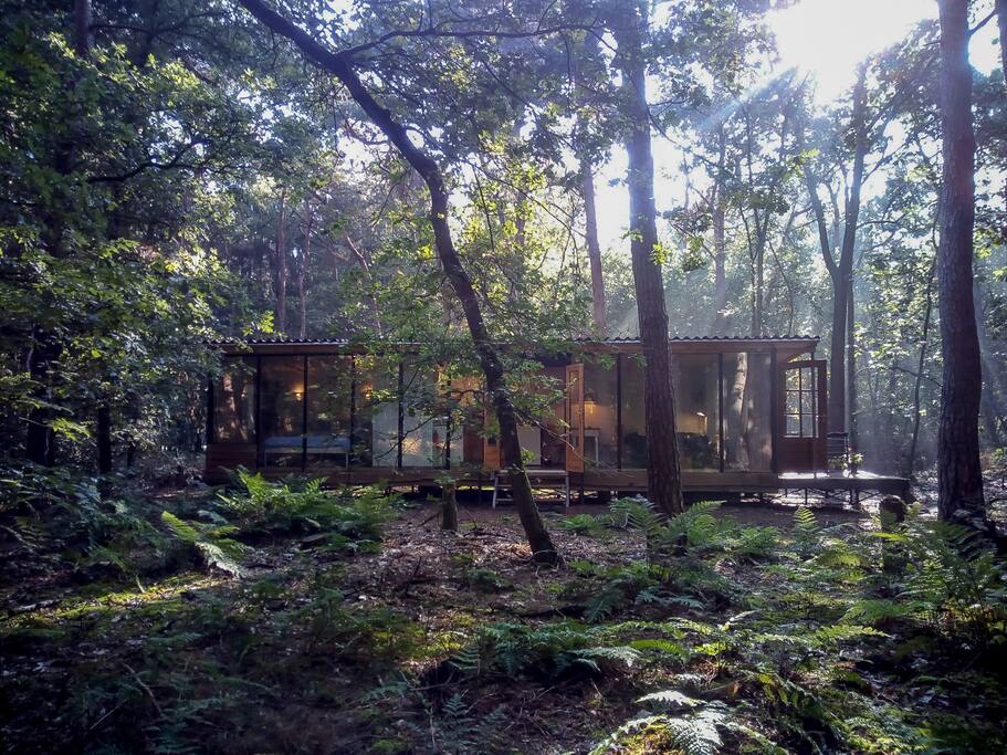 Maja's Hideaway basking in the autumn sun.