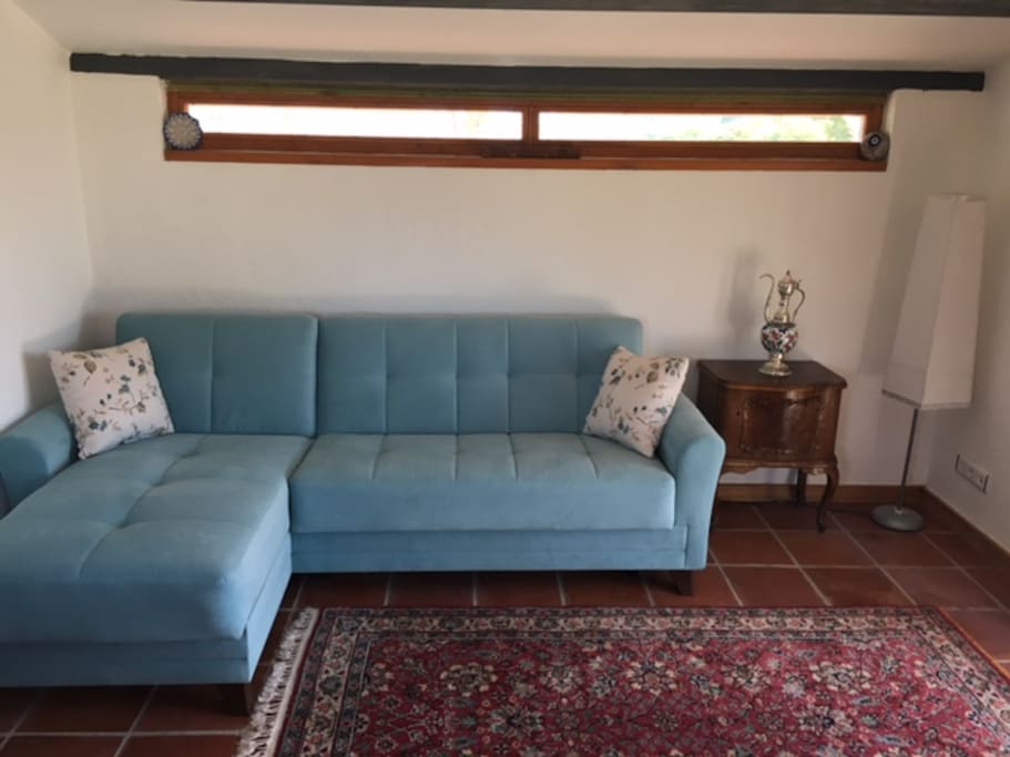 Lounge area with sofa bed