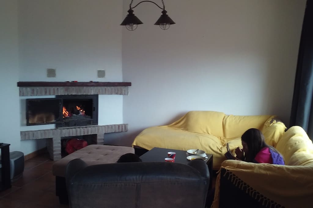 livingroom with chimenese and sofá-bed
