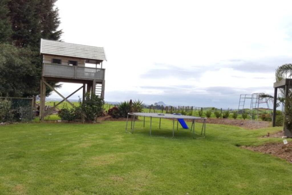 Backyard with tree house