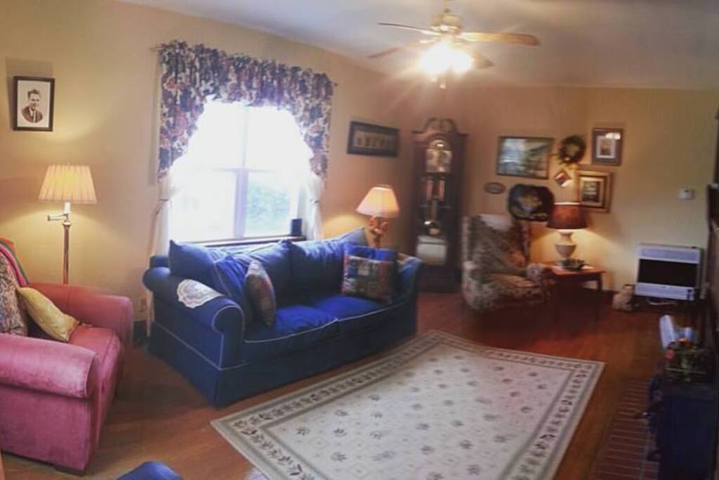 Living room with sofa bed