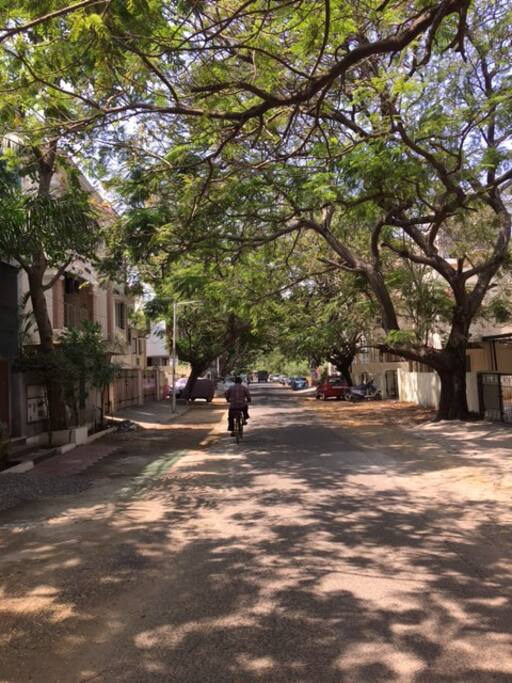 Street view