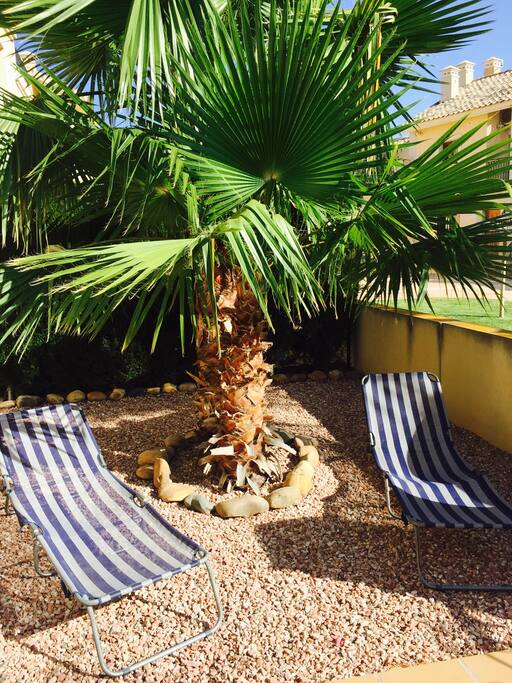 Sun and shade in garden.