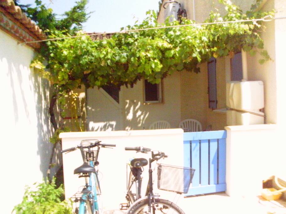 terrasse sud