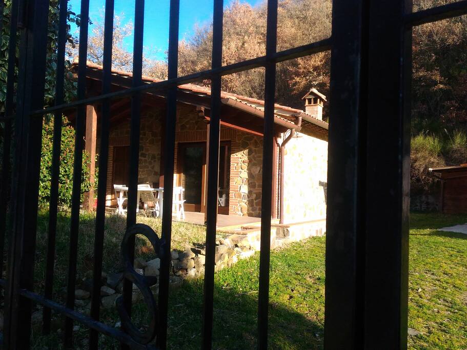 Ingresso