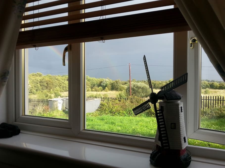 Bedroom's window