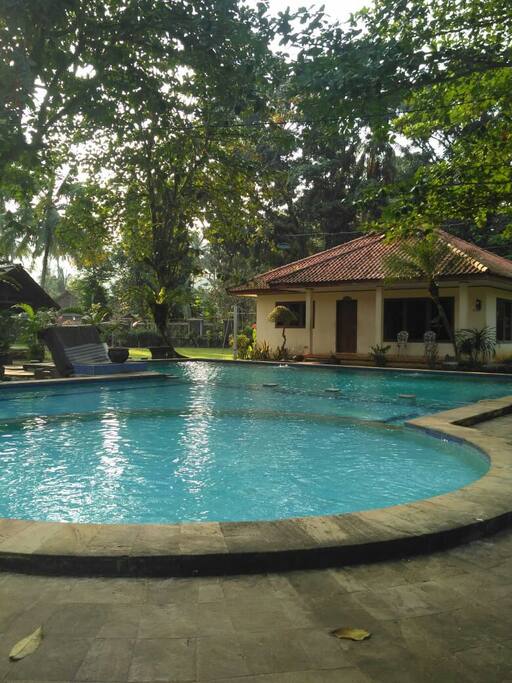 COTTAGE BARAKUDA
