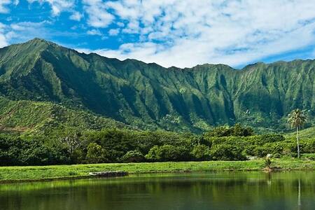 Windward Island Retreat. 100% Clean & Safe