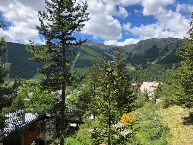 A view of the mountainous landscape is framed by tall pine trees. The sky is partly cloudy, showcasing a blend of blue and white. The greenery of the surrounding nature contributes to a sense of tranquility in the area.