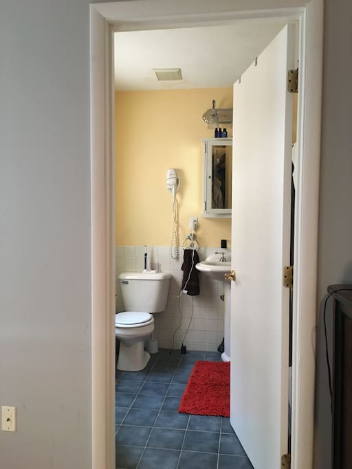 master bathroom