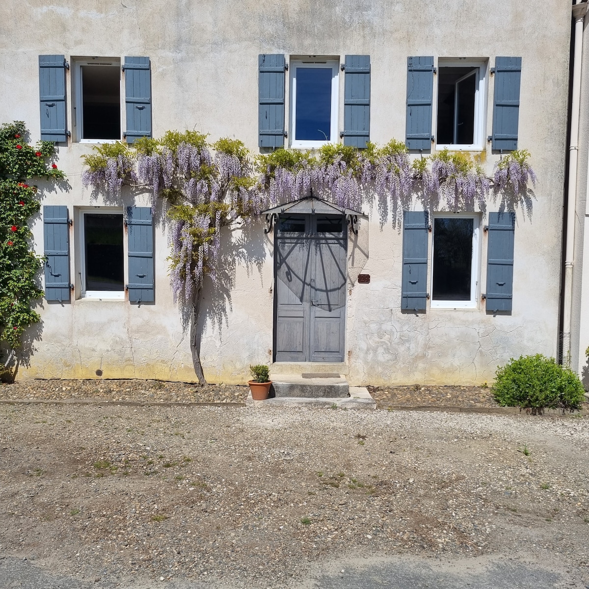 The exterior of a charming country house is showcased, featuring a pale facade with blue shutters. A wooden door is framed by cascading wisteria, enhancing the entrance. Gravel lines the pathway leading to the home, with a small potted plant placed nearby.