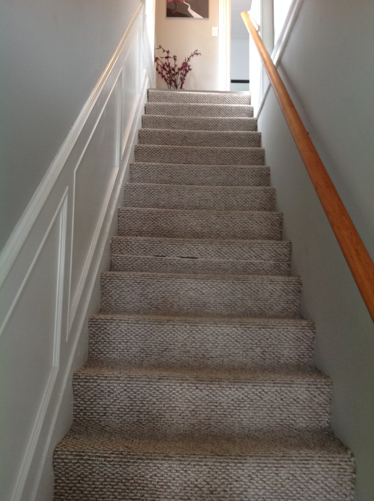 A carpeted staircase ascends gently with a wooden handrail along the side. The walls are painted in a soft color, and light is seen emanating from the doorway at the top of the stairs. Decorative elements, such as a plant, are visible in the hallway.