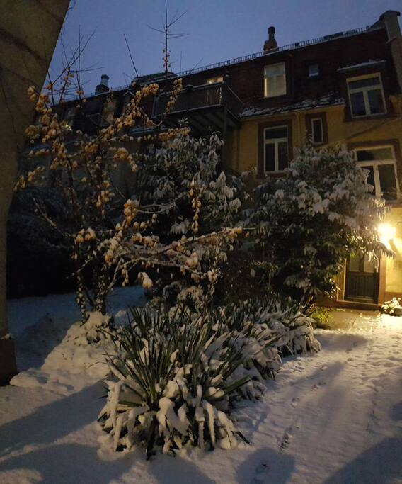 Innenhof, Haustür und Garten
