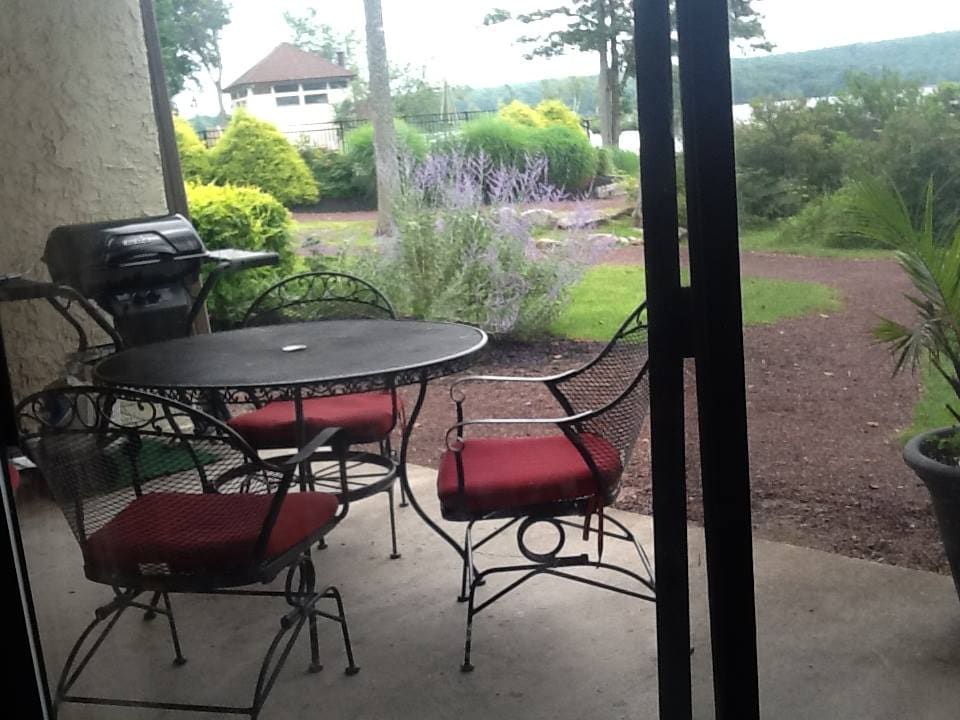 A patio area is visible with a round table and four iron chairs, each featuring red cushions. A charcoal grill is positioned nearby. The view includes lush greenery with purple flowering plants and a glimpse of the lake in the distance.