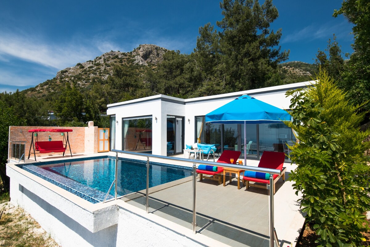 A modern villa is featured with a private pool surrounded by a tranquil terrace. Vibrant lounge chairs are positioned under a large blue umbrella. Lush greenery and a scenic mountain backdrop enhance the outdoor space, inviting relaxation and enjoyment.