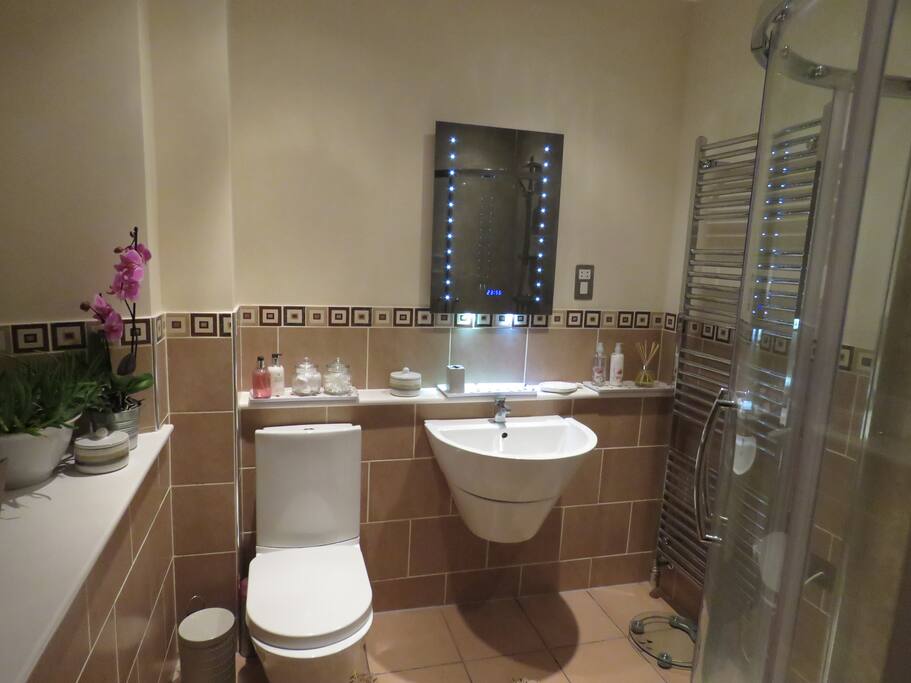 Tweed en-suite shower-room