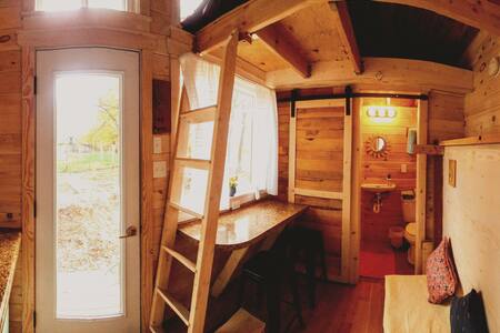 Help Us Avoid Student Loans By Experiencing Boise!