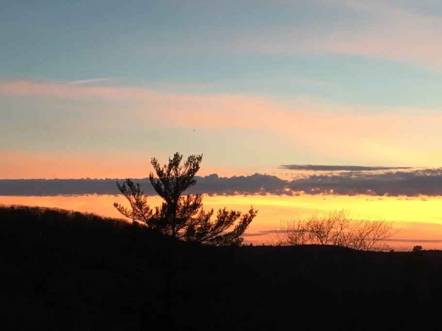 View from the patio