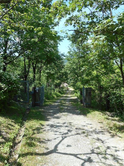 Viale d'ingresso