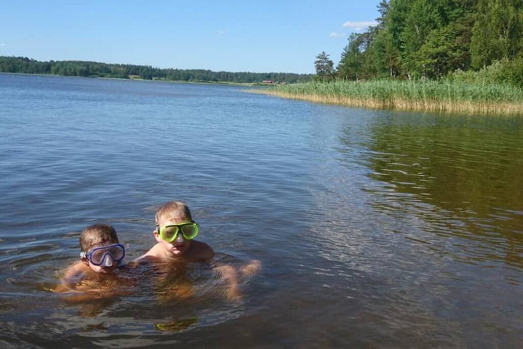 Kisäng
