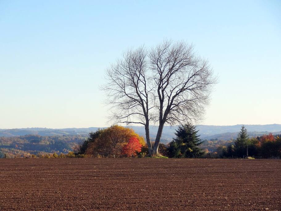 Labours d'automne. L'entrée du hameau bénéficie d'un des plus beaux panoramas de la région, avec vue dégagée sur 300°.