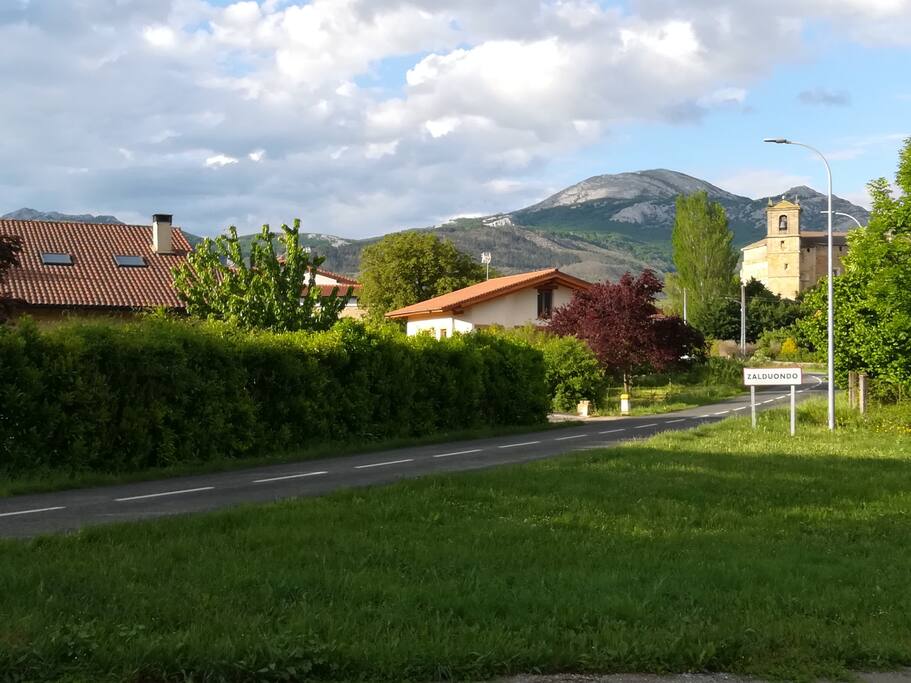 El Aratz desde Zalduondo