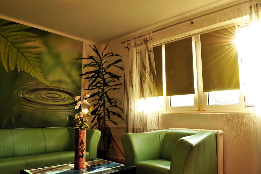 Living room, ideal for chill and hang around