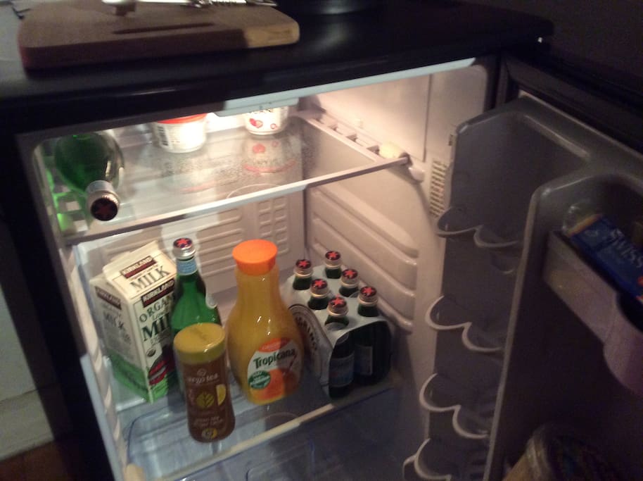 The mini refrigerator in the kitchen.