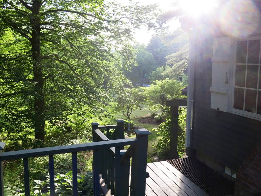 Deck overlooking the yard and gardens
