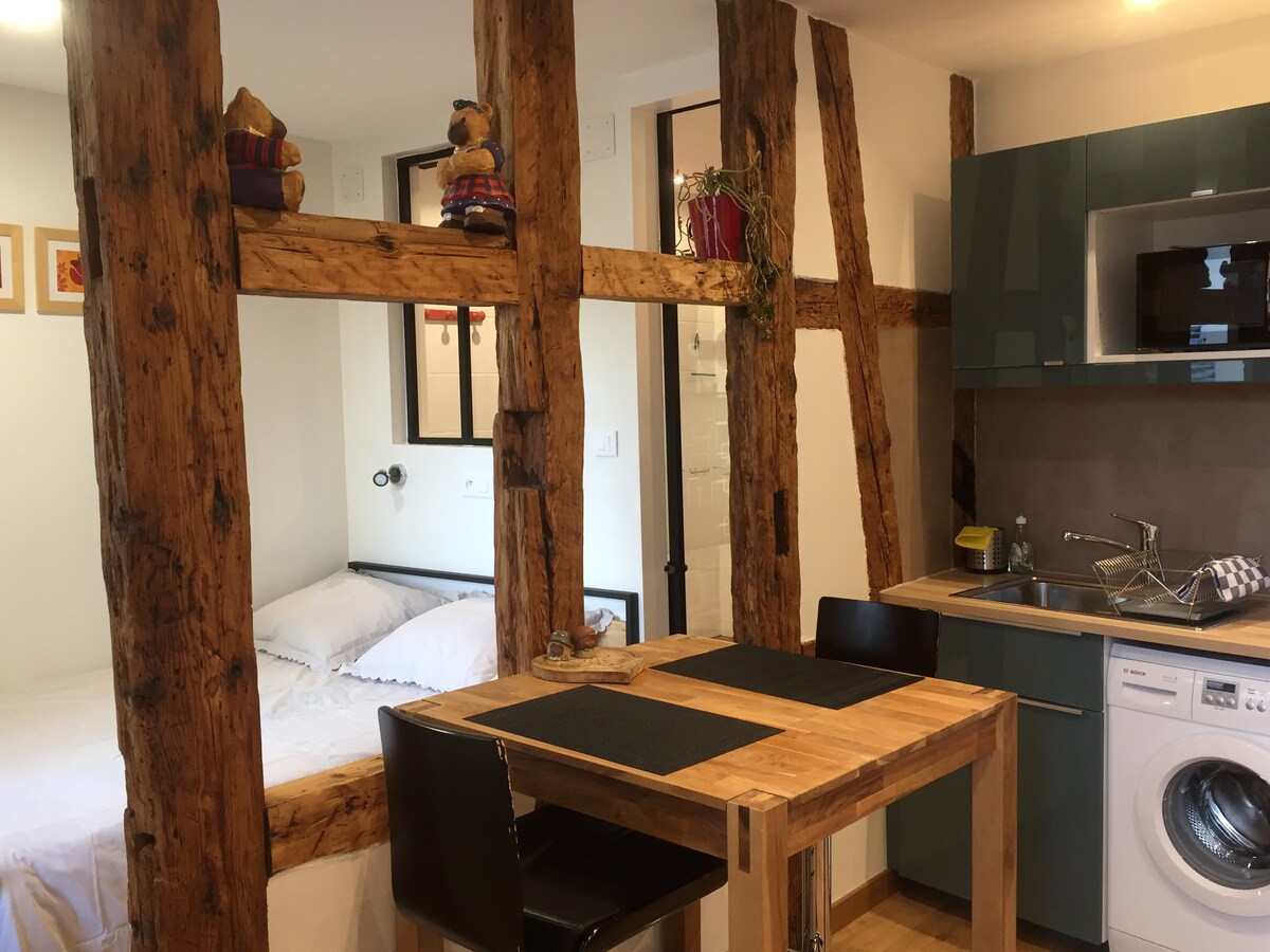 Studio 27 m2 quiet Petite France Apartments for Rent in Strasbourg