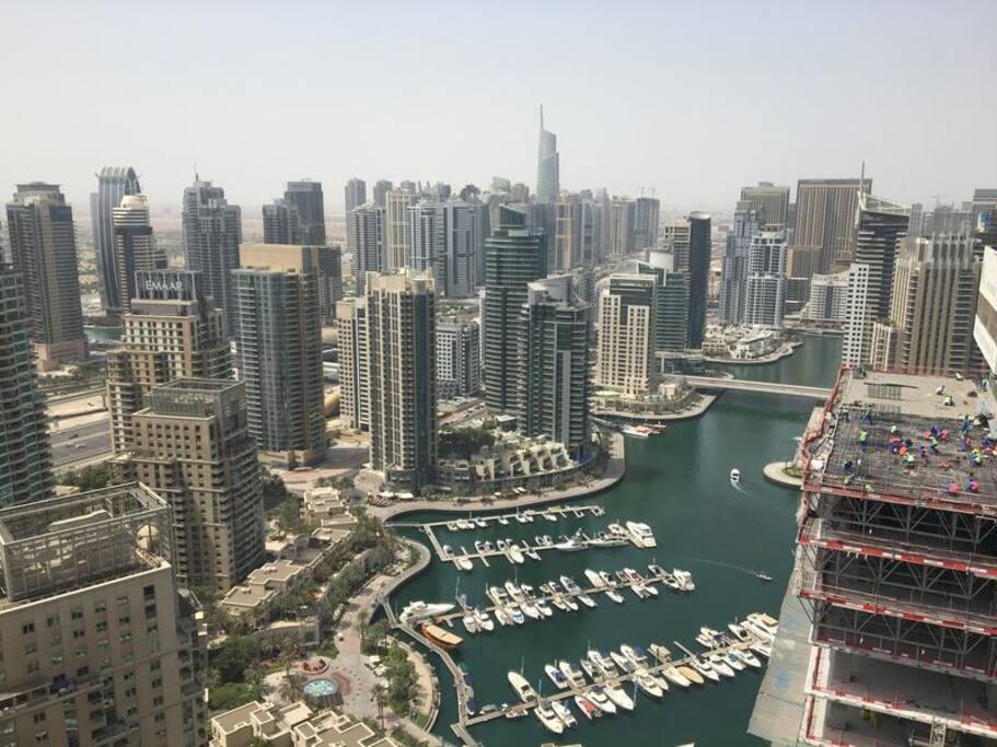 view