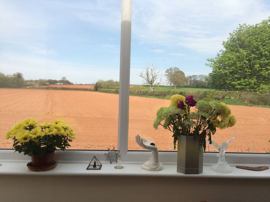 One of the views from the conservatory
