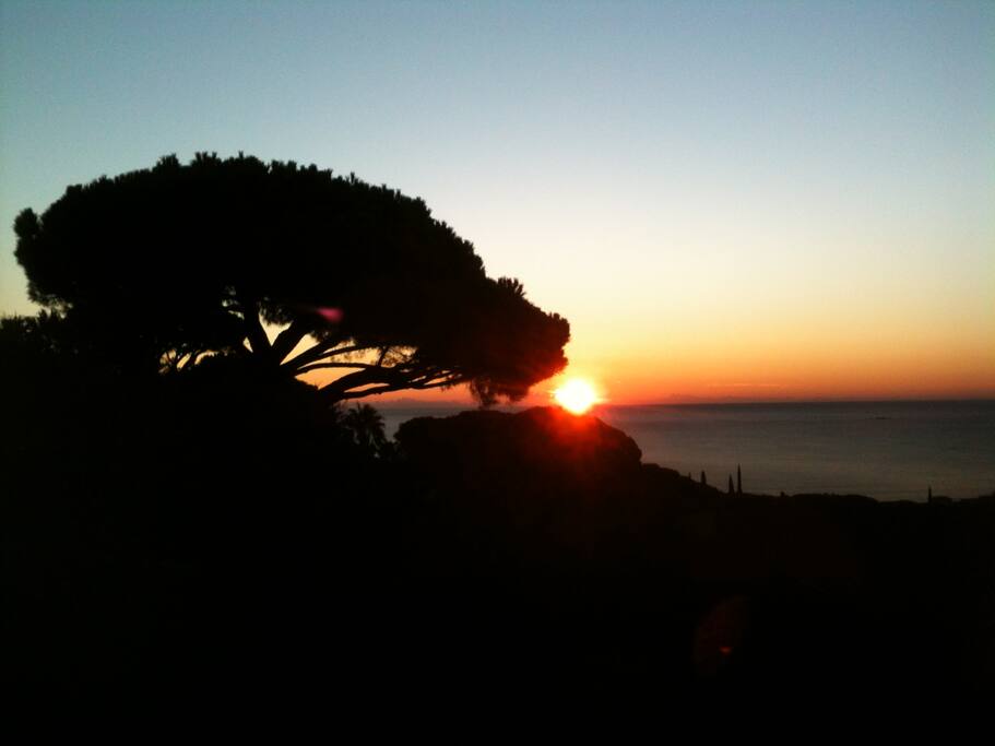 COUCHER DE SOLEIL VUE DE LA TERRASSE