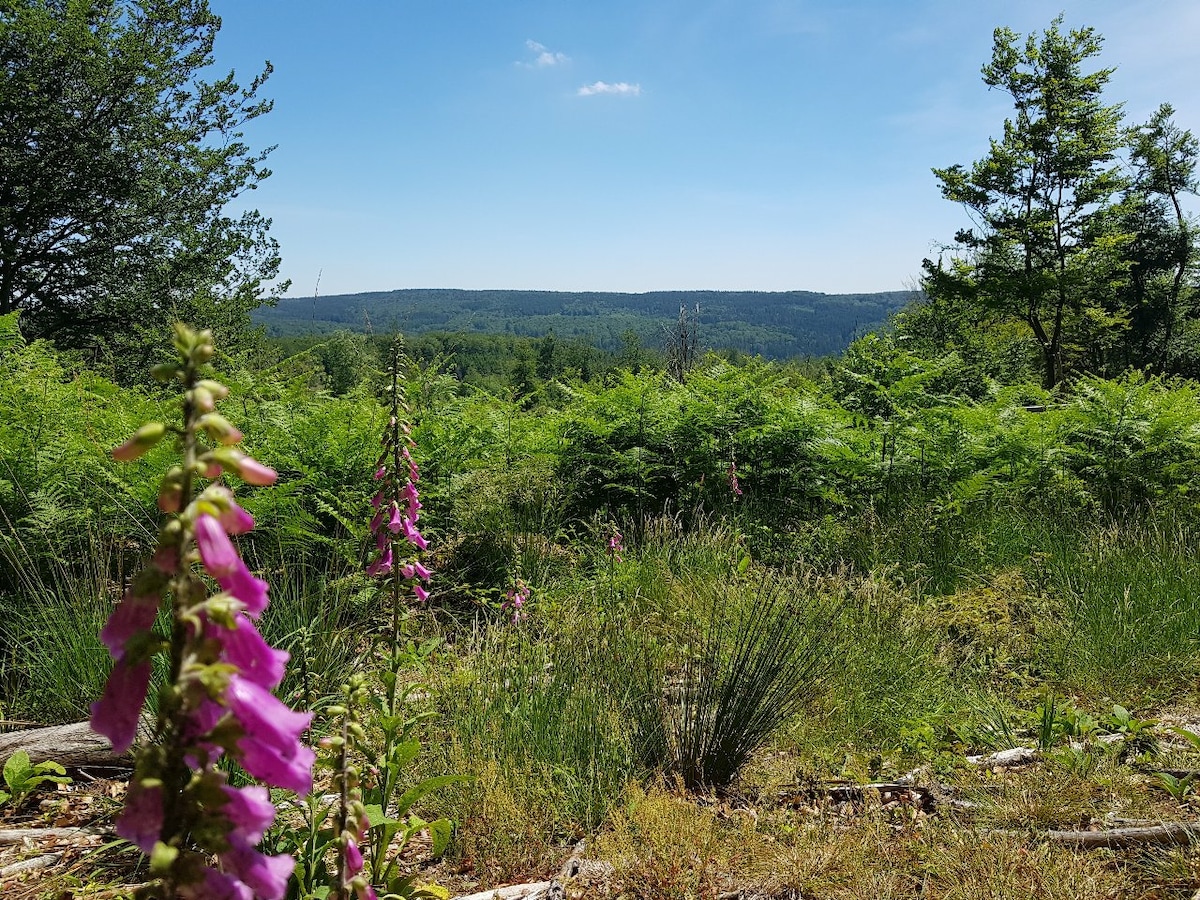 A scenic view features lush greenery and rolling hills under a clear blue sky. Colorful purple foxgloves bloom in the foreground, adding natural beauty to the landscape. Ferns and trees enhance the sense of tranquility in this inviting outdoor setting.