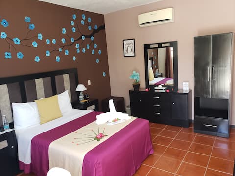 17 Cloe Mini-Studios between nature and the beach