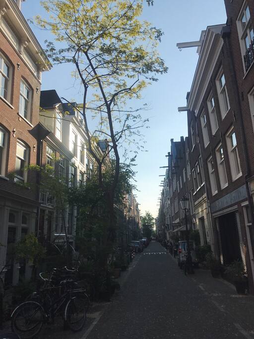 My street, such an lovely neighbourhood.