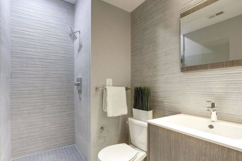 Full shower with hair dryer etc.