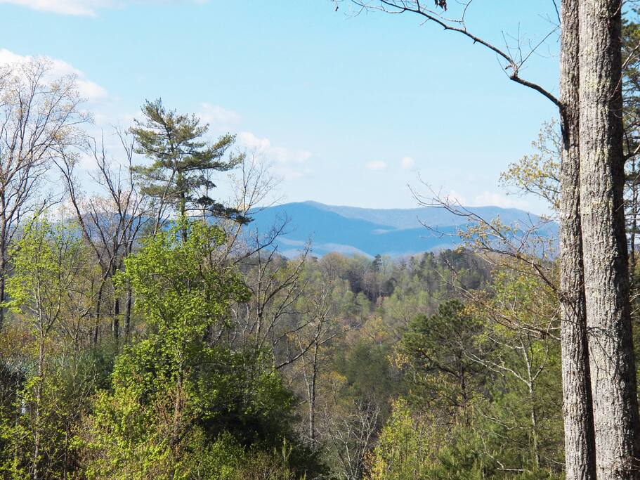 Mountain View from the Yard