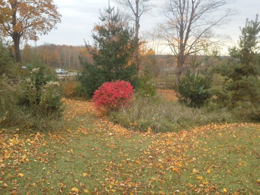 More landscaping!