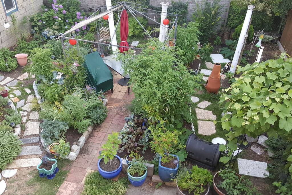 Back Garden 2017