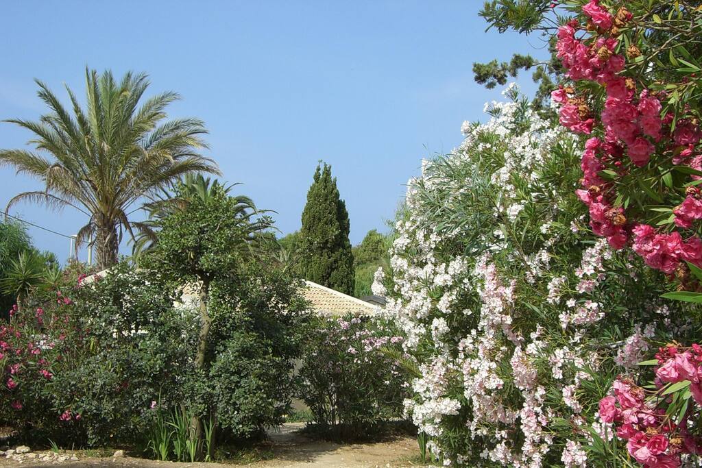 Bungalow La Perla di Sicilia in the garden