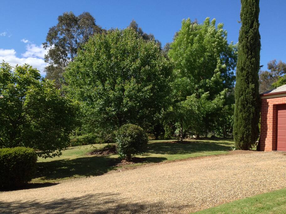 Front yard