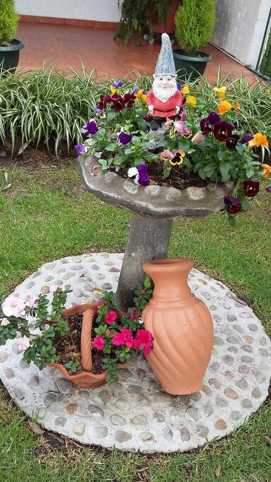 Gardens in front of the home