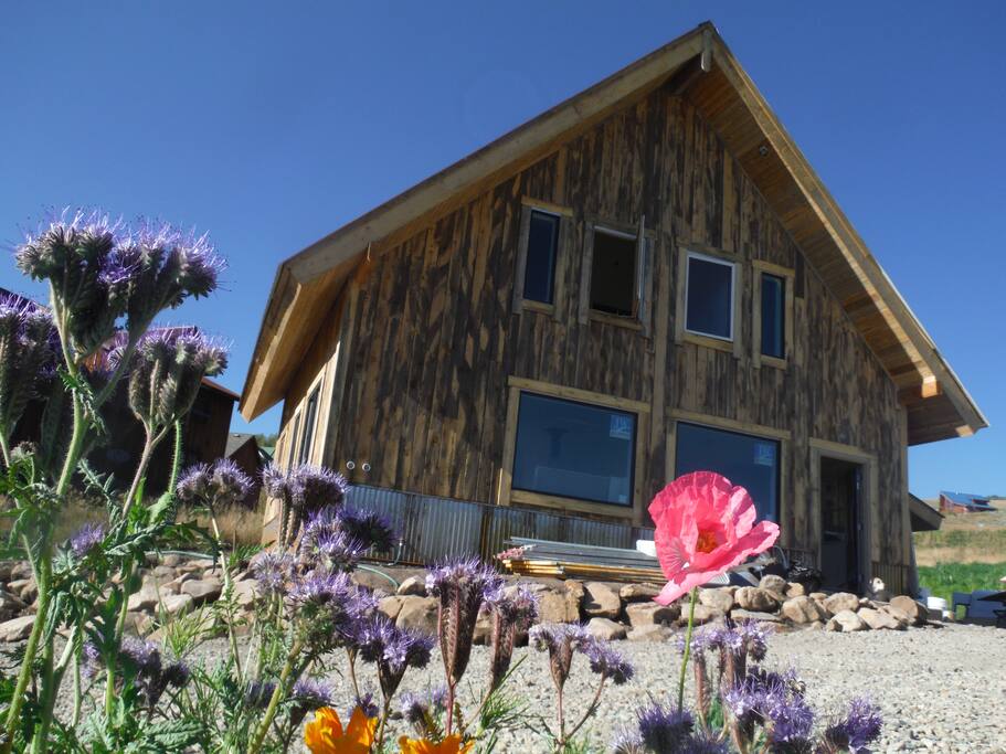 Wildflower capital of Colorado!