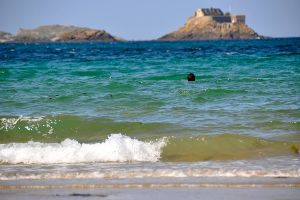 On se baigne en mai sur notre côte...