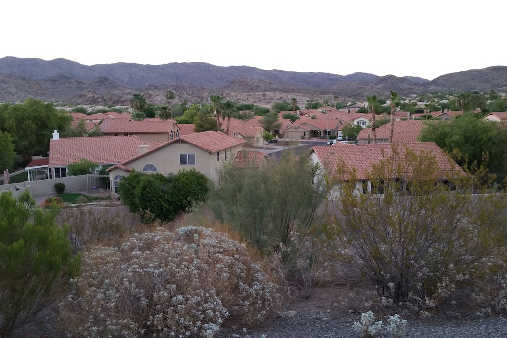 Desert Views